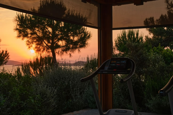Spa & Wellness